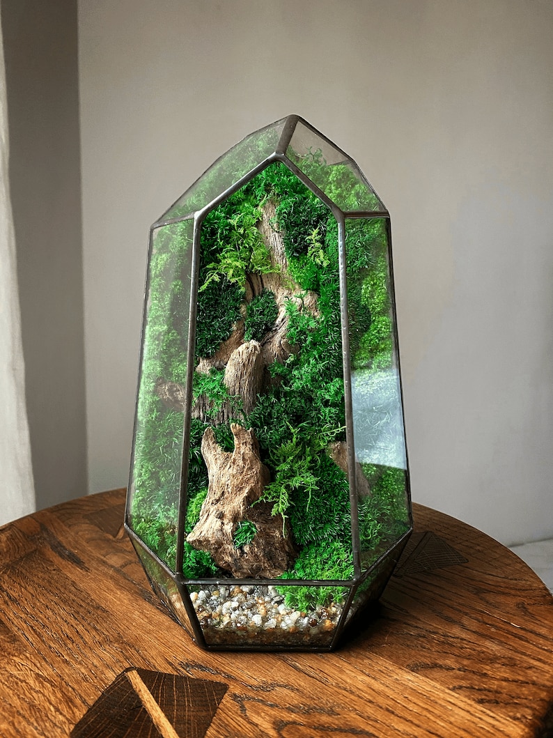 Op de afbeelding: Een geometrisch glazen terrarium met een mos- en drijfhoutarrangement. Het terrarium is gevuld met groen mos en een stuk drijfhout. Het terrarium staat op een houten tafel.