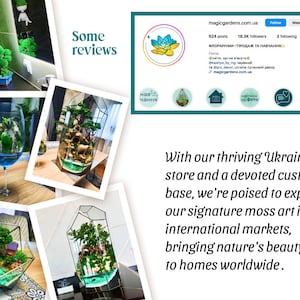 Op de afbeelding: Een verzameling glazen terrariums met verschillende planten en mos, die de schoonheid van de natuur binnenshuis laten zien. De terrariums worden getoond op een houten tafel en een witte betegelde muur. De tekst "Some reviews" is zichtbaar in de rechterbovenhoek van de afbeelding.
