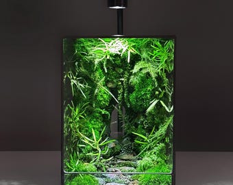 LED Jungle Moss-terrarium, bewaarde moskunst in glazen kubus, housewarmingcadeau, verjaardagscadeau voor haar of hem