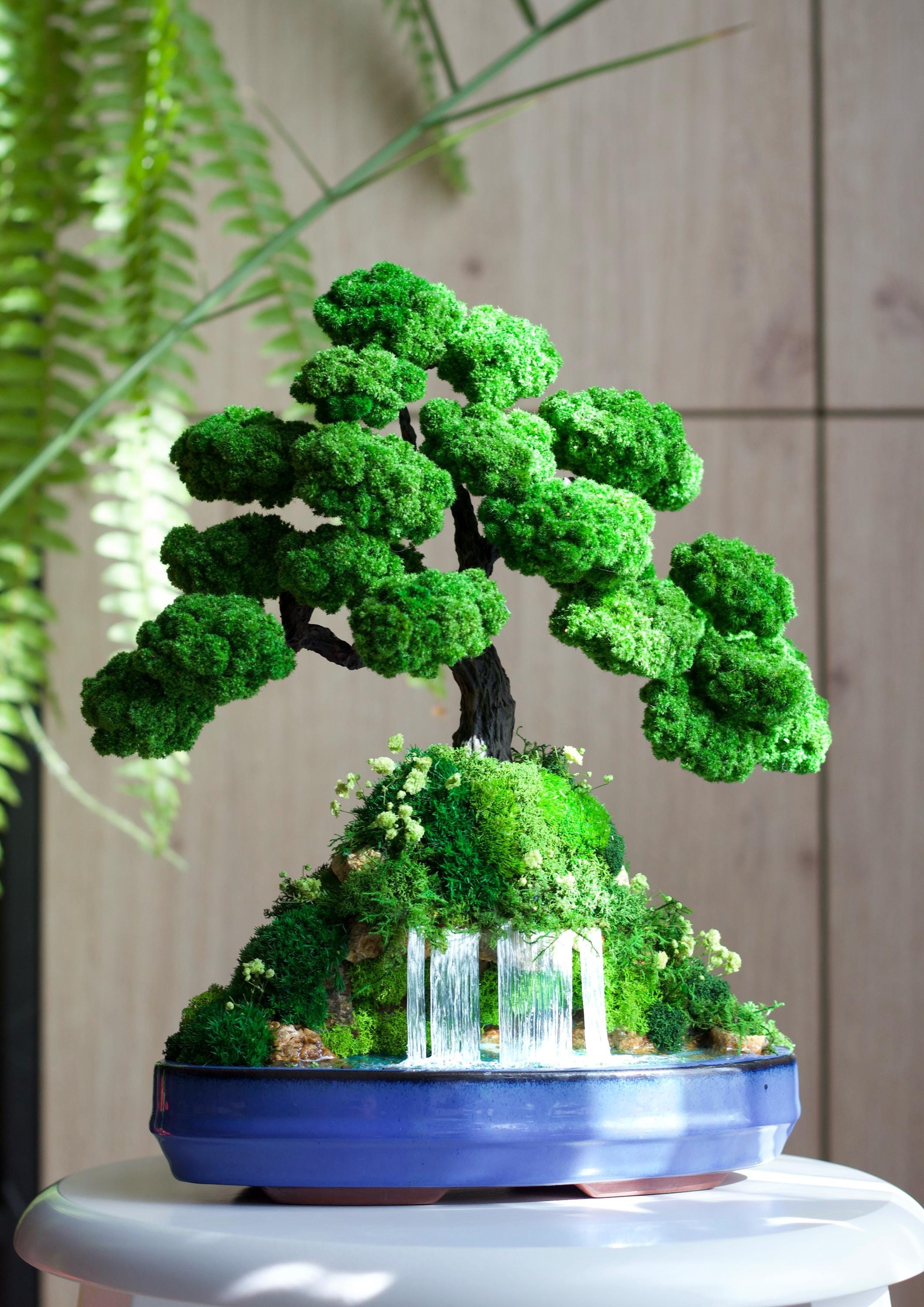盆栽 Japanese bonsai Japandi Bonsai Decor | Preserved Moss Tree in Ceramic Pot