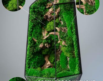 Moss Terrarium, Preserved moss art, Geometric terrarium decor, Desktop mossarium, Terrarium decor, Unique gift