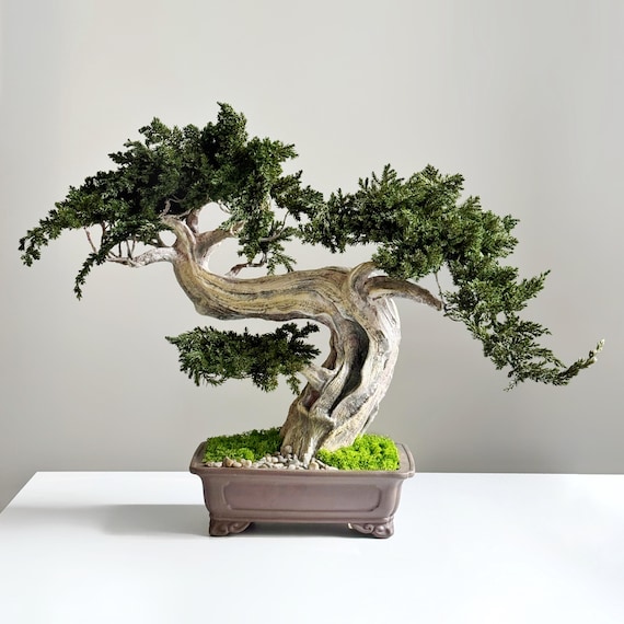 Large Preserved Juniper Bonsai Tree With Moss - Japanese Zen Decor for Home  & Office, Maintenance-free Indoor Plant Gift - Etsy Israel