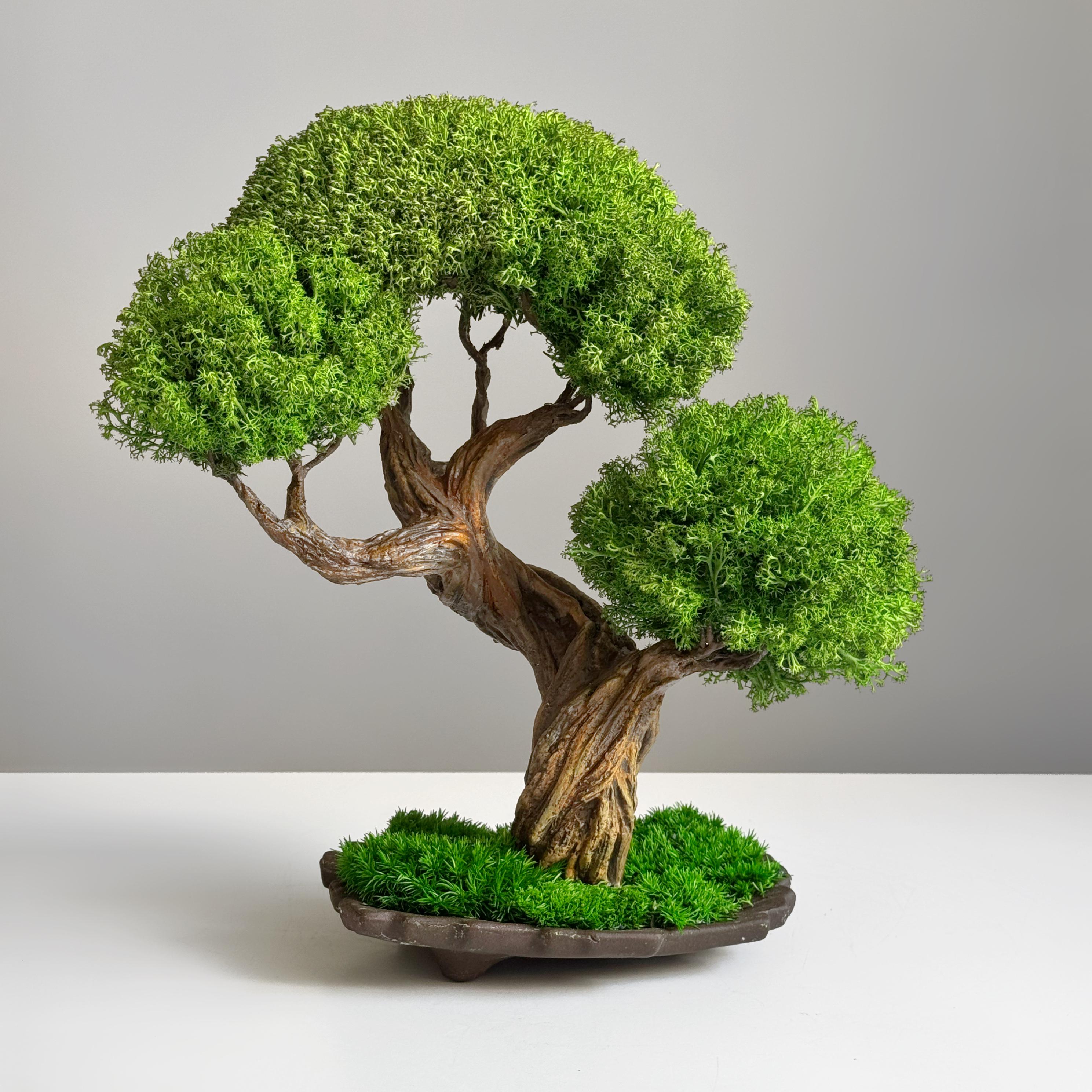 Cypress bonsai - Etsy Italia