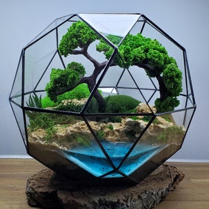 Puede incluir: Un terrario geométrico de cristal que contiene un paisaje en miniatura con un árbol de estilo bonsái marrón oscuro, musgo verde brillante, rocas beige texturizadas y una poza de agua de resina azul translúcida, sobre una base de madera natural.