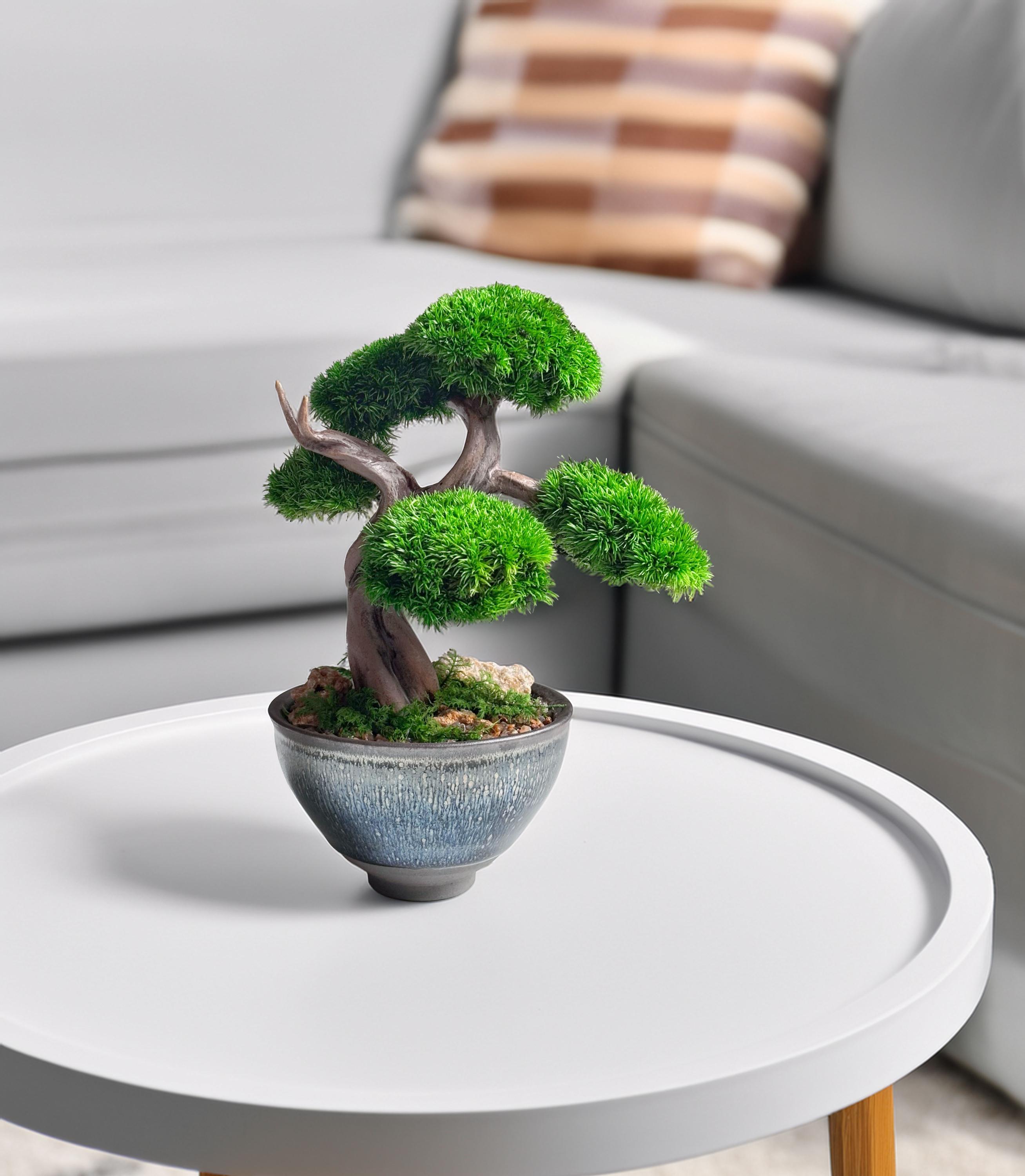 Mini Preserved Moss Bonsai Tree, Blue Ceramic Pot, Japanese Zen