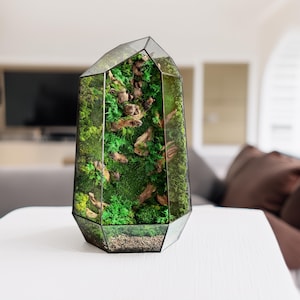 Mosterrarium, bewaarde moskunst, geometrisch terrariumdecor, bureaubladmossarium, terrariumdecor, uniek cadeau afbeelding 15