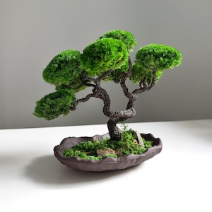 Elegant Zen Décor, Minimalist Artificial Bonsai for Home