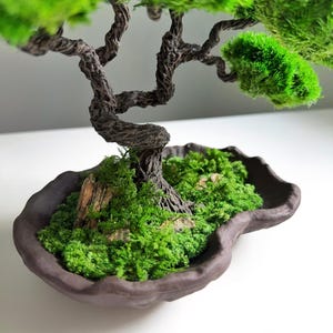 Preserved Moss Japanese Bonsai, Low-Maintenance Plant