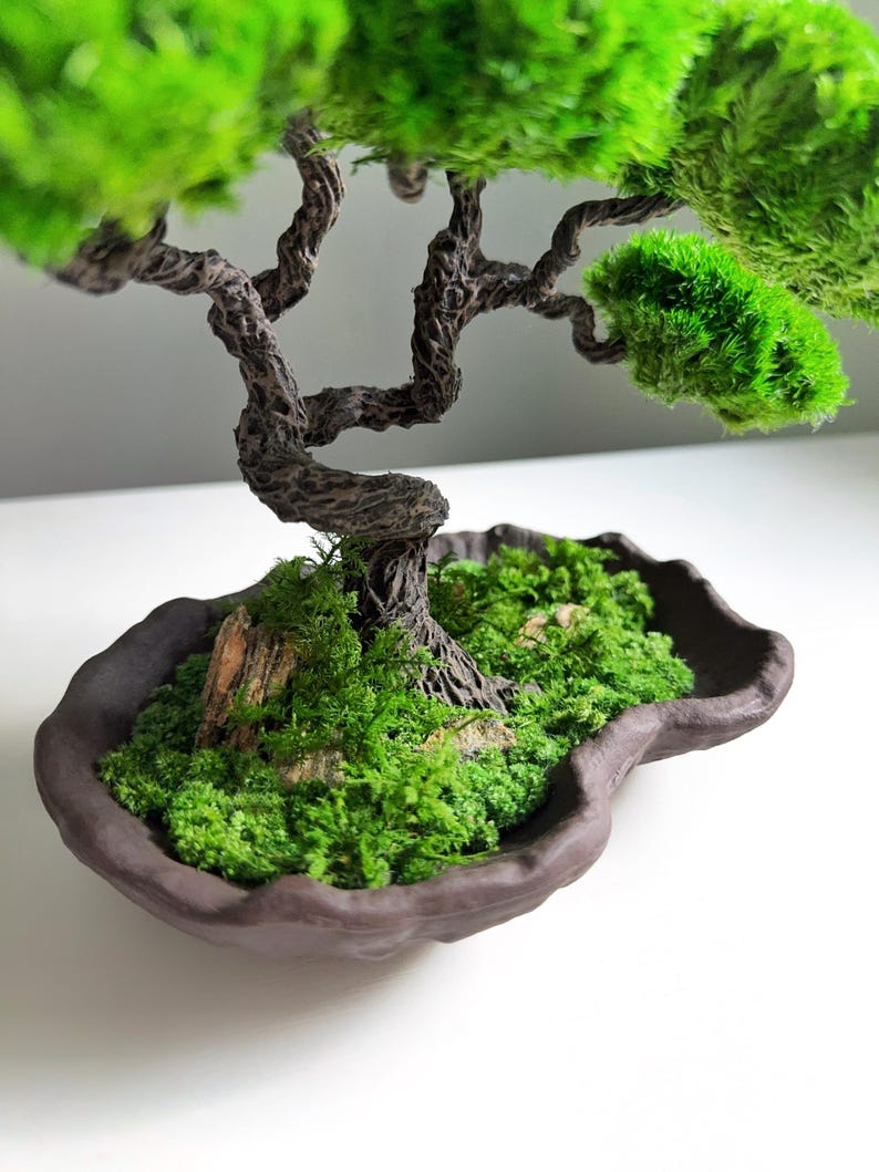 Preserved Moss Japanese Bonsai, Low-Maintenance Plant