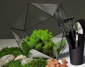 DIY Preserved Moss Terrarium Kit, Build Your Own Glass Terrarium, No Care Plant Kit, Zen Garden Craft Set, Unique Gift Idea