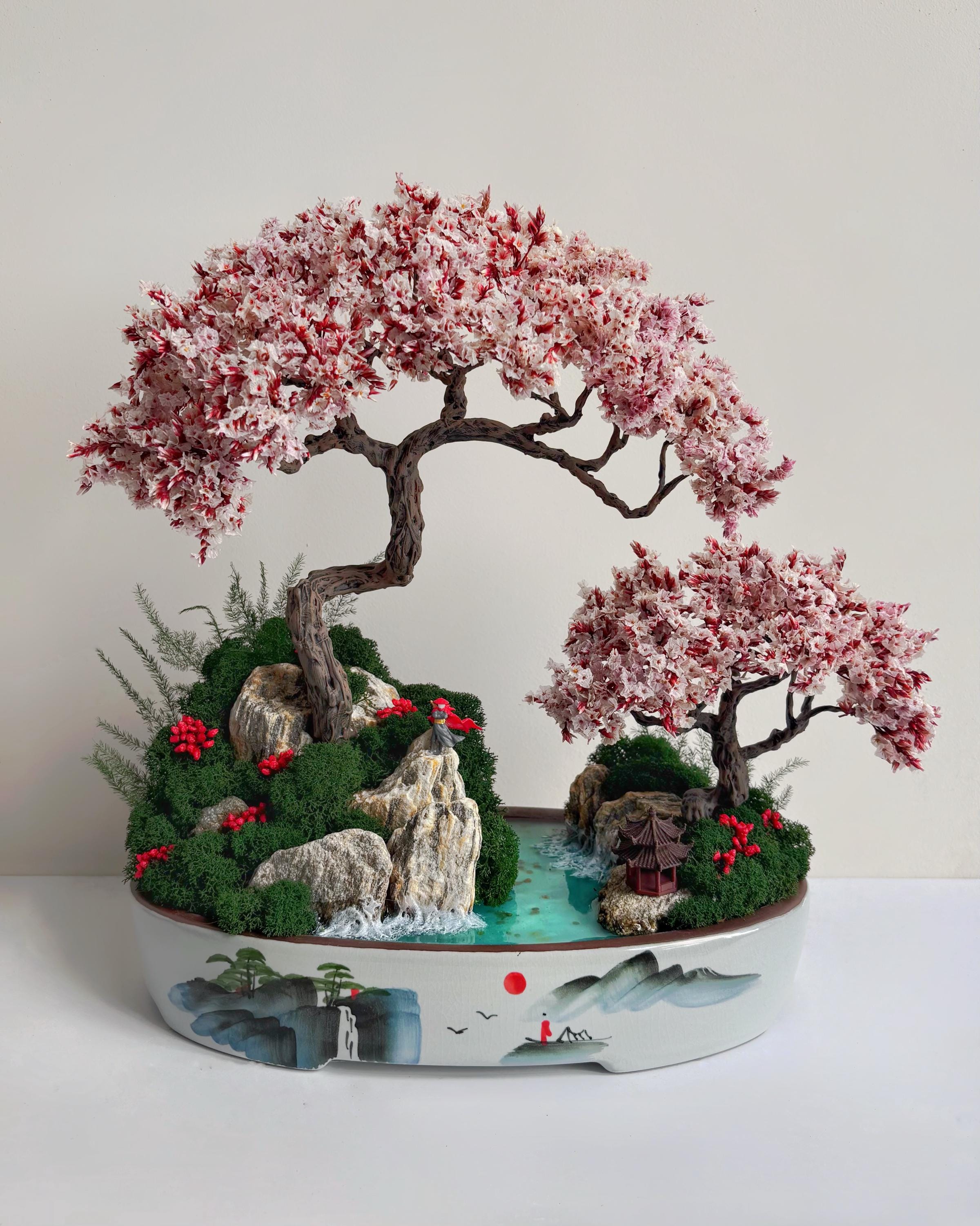 Japanese Red Bonsai - Etsy
