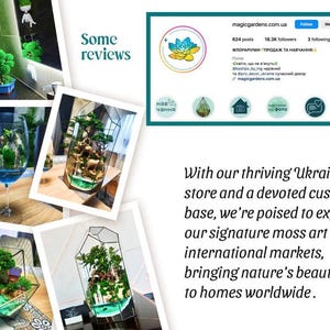 May include: Collage of images showcasing moss art terrariums in various geometric glass containers. The terrariums feature miniature landscapes with green moss, small plants, and decorative elements. The images also include a social media profile and text about expanding the business.