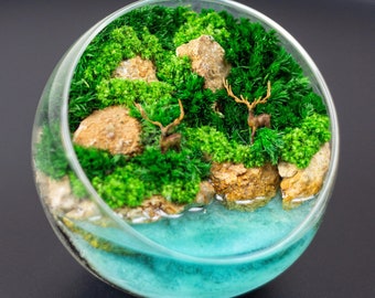 Handmade gift: Terrarium with epoxy, Forest aquarium moss, Housewarming Gifts, Epoxy moss gift, Preserved Moss Art