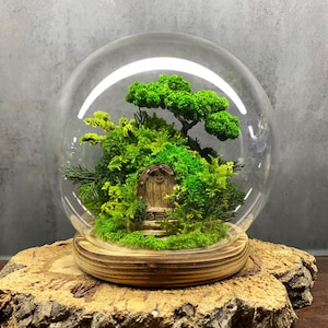 Puede incluir: Una escena de jardín de hadas en miniatura dentro de una cúpula de cristal. La escena presenta una pequeña puerta de madera, escalones y exuberante musgo y follaje verde. La cúpula se asienta sobre una base de madera, colocada sobre una losa de madera rústica.