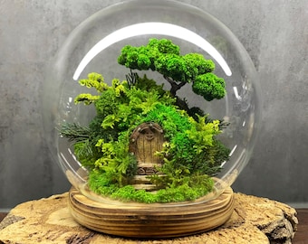 Glass Dome Terrarium with Preserved Moss, Fairy Garden Miniature, No Care Moss Terrarium, Unique Gift