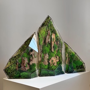 May include: Geometric glass terrariums with a mountain-like design. Each terrarium is filled with vibrant green moss and pieces of wood, creating a miniature landscape. The terrariums are displayed on a white pedestal.