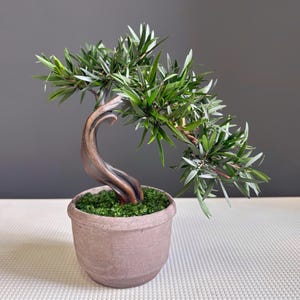 May include: A small artificial bonsai tree featuring a curved, dark brown trunk and dense, pointed green leaves. The tree is planted in a round, textured, light brown ceramic pot filled with bright green moss at the base of the trunk.