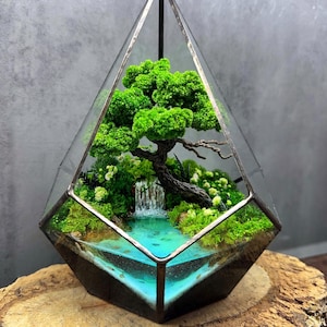 Może przedstawiać: Geometryczne terrarium z miniaturowym drzewkiem bonsai, wodospadem i żywym niebieskim stawem. Szklana obudowa umieszczona jest na drewnianej podstawie, tworząc spokojną, naturalną scenerię. Terrarium ma około 20 cm wysokości i 15 cm szerokości.