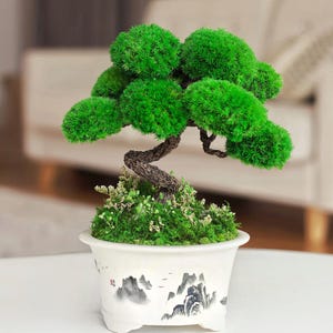 Handmade Plant Decor - Preserved Moss Bonsai Tree in Hand-Painted Pot 12.6*9.8 inch