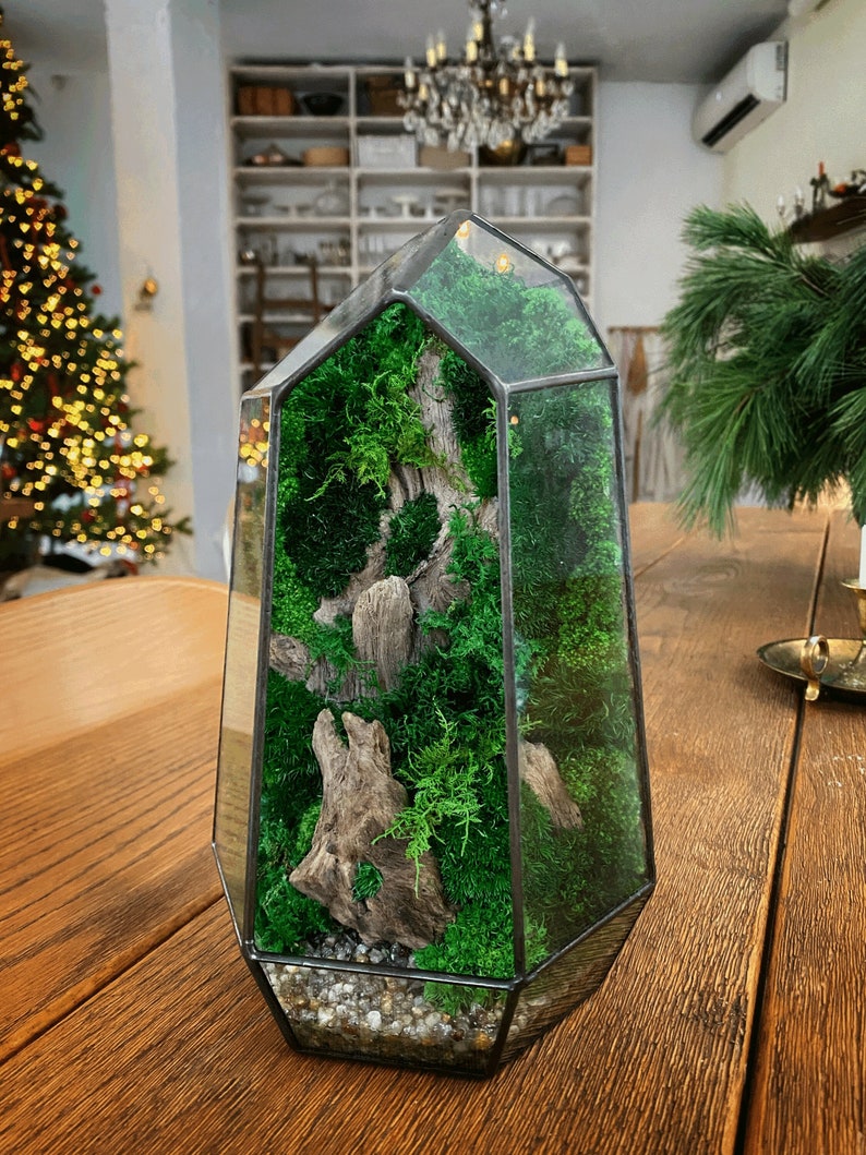 Op de afbeelding: Een glazen terrarium in de vorm van een kristal met een geometrisch ontwerp. Het terrarium is gevuld met groen mos, een stuk drijfhout en kleine witte steentjes.