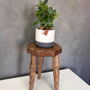 以下が含まれることがあります： 植物という漢字が書かれた茶色のタグが付いた、白とダークグレーのツートンカラーの陶器製鉢に入った小さな緑色のフィカス。鉢は、彫刻が施された質感のある天板と波打つような手彫りの脚を持つ、3本脚の木製スツールの上に置かれています。