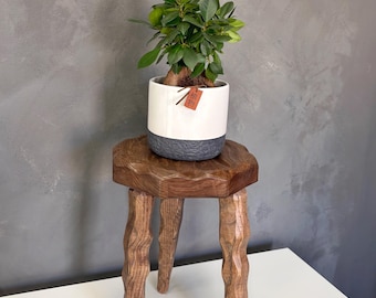 Könnte beinhalten: Eine kleine grüne Ficus-Pflanze in einem zweifarbigen, weiß-dunkelgrauen Keramiktopf mit einem braunen Anhänger, der die japanischen Schriftzeichen 植物 trägt. Der Topf steht auf einem dreibeinigen Holzhocker mit geschnitzter, strukturierter Sitzfläche.