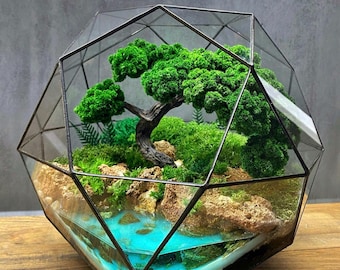 May include: Geometric terrarium with a miniature bonsai tree, moss, and a blue resin river. The glass enclosure has a black metal frame. The miniature landscape includes rocks and green foliage, creating a natural scene.