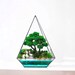 see more listings in the MOSSARIUM section