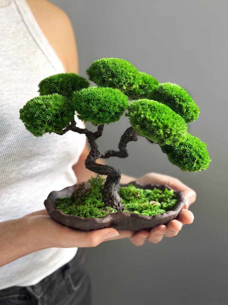 Preserved Moss Japanese Bonsai