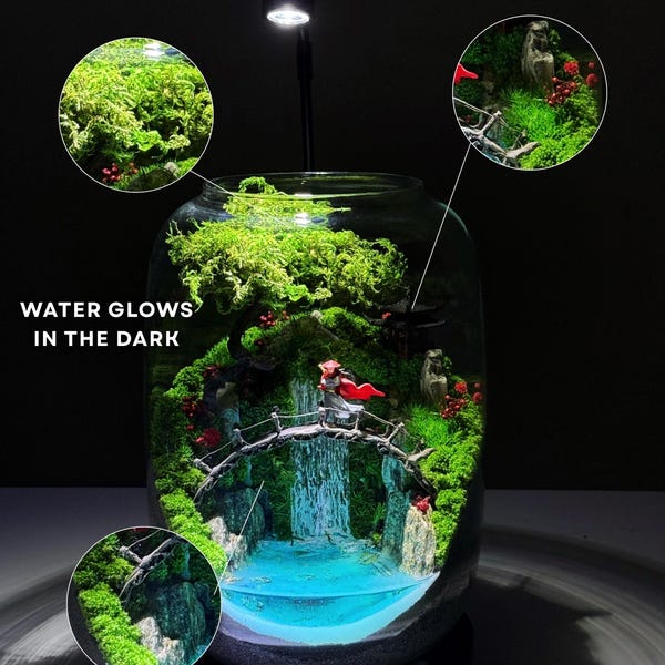 Terrario con cascada en frasco de vidrio, jardín zen con río de resina brillante, mini paisaje japonés con musgo preservado, opción de lámpara LED.