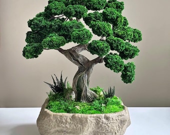 Preserved Moss Bonsai Tree, Japanese Zen Decor in Stone Look Ceramic Bowl, No Watering Indoor Bonsai, Japandi Tabletop Gift