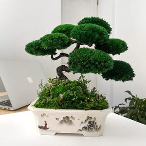 May include: A bonsai tree with vibrant green foliage and a dark, twisted trunk. The tree sits in a rectangular white ceramic pot decorated with a landscape scene. The pot is filled with moss and small plants. A laptop is visible in the background.