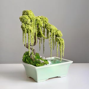 Puede incluir: Un bonsái en miniatura con follaje verde en cascada, que se asemeja a un sauce llorón. El árbol está plantado en una maceta de cerámica rectangular verde claro, con una pequeña fuente de agua y rocas en la base. El bonsái es un artículo decorativo.