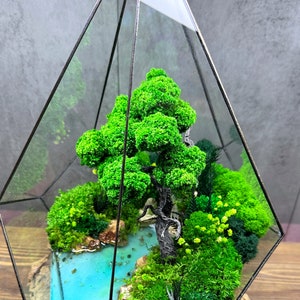 Ocean terrarium with moss, Waterfall terrarium, Preserved bonsai, Terrarium moss, Preserved plants, Unique plant decor, Geometric terrarium image 5