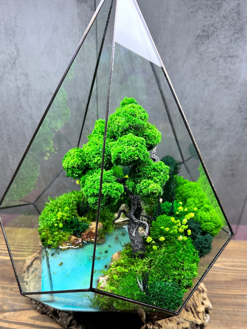 Ocean terrarium with moss, Waterfall terrarium, Preserved bonsai, Terrarium moss, Preserved plants, Unique plant decor, Geometric terrarium image 5