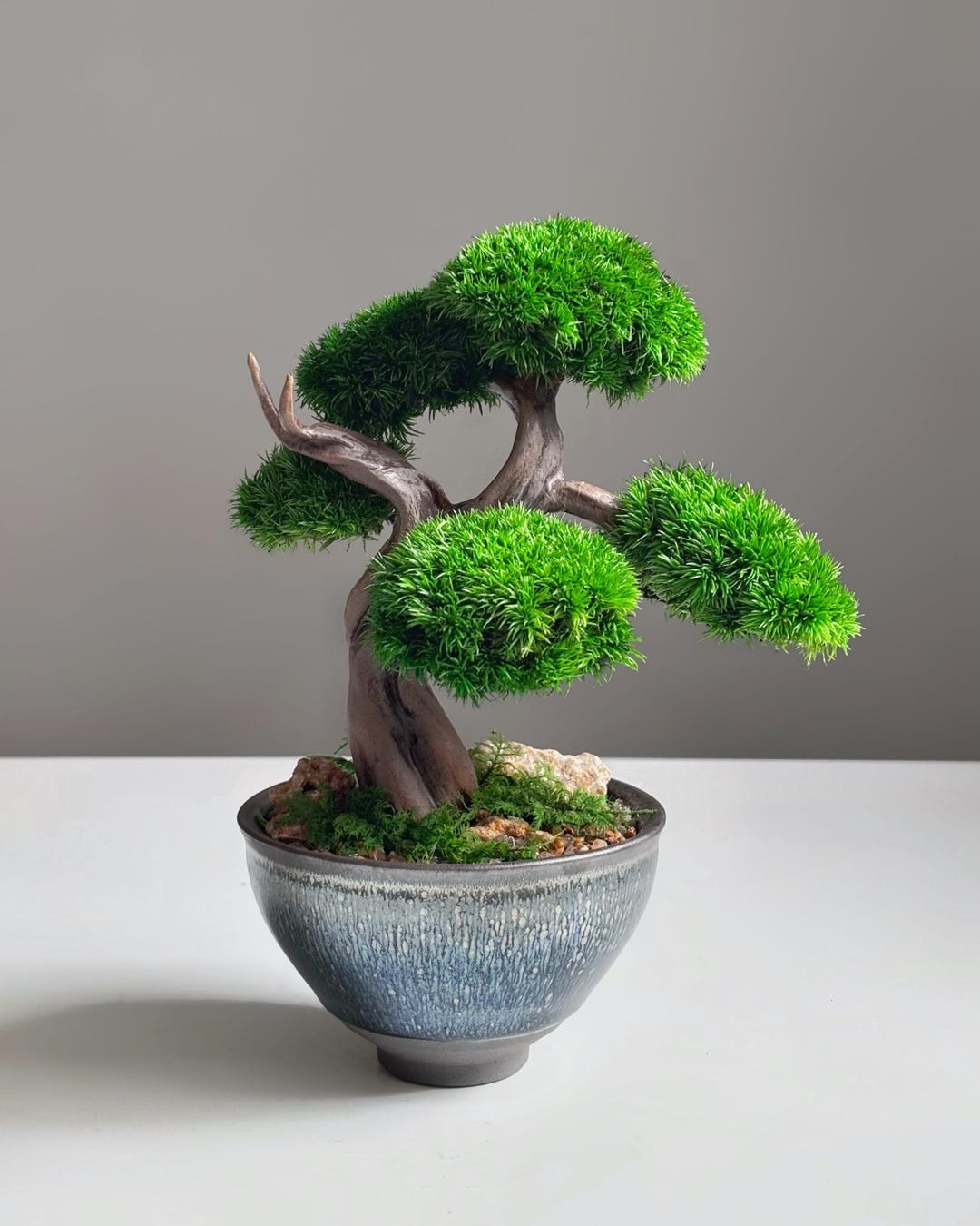 松　盆栽 55cm ⑪ Mini Preserved Moss Bonsai Tree, Blue Ceramic Pot, Japanese Zen
