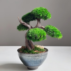 May include: A miniature bonsai tree in a blue ceramic pot. The tree features a textured, brown trunk and branches, with vibrant green foliage. The pot has a speckled, glazed finish. The bonsai is a decorative item for home or office.