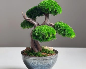 青石禅意  盆栽鉢 多肉植物 植木鉢 石器鉢 装飾品 石器 現代工芸品 置物 現在、この商品の在庫はありません - Etsy