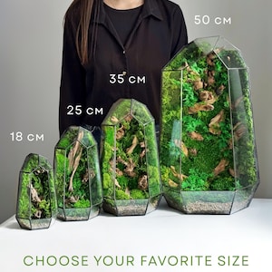 Mosterrarium, bewaarde moskunst, geometrisch terrariumdecor, bureaubladmossarium, terrariumdecor, uniek cadeau afbeelding 9