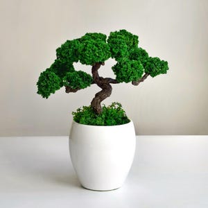 May include: A small bonsai tree in a white ceramic pot. The tree has a twisted brown trunk and bright green leaves. The pot is smooth, glossy white, giving a clean, modern look. The bonsai is a decorative item, suitable for indoor display.