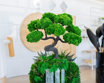 Handmade Moss Bonsai Waterfall Tree | No Maintenance Home Accent | Mini Zen  Garden | Gift-ready Decor - Etsy