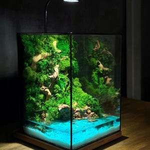 LED Glass Terrarium with Bonsai Tree, Preserved Moss Zen Garden, No Maintenance Plant Decor, Japanese Style Gift, Handmade Home Accent