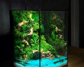 Led-glasterrarium met bonsaiboom, bewaarde moszentuin, geen onderhoud plantdecor, cadeau in Japanse stijl, handgemaakt huisaccent