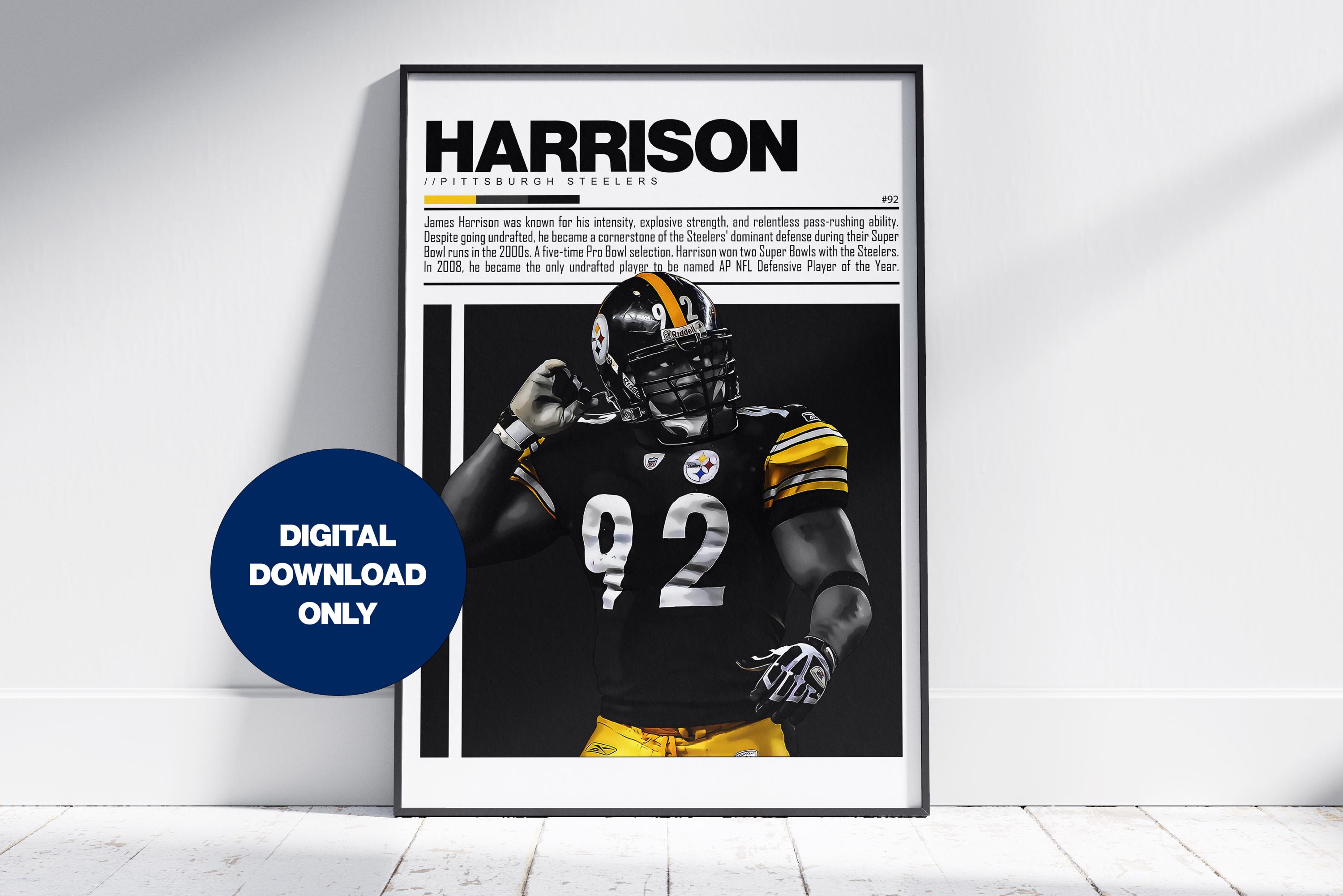 ピッツバーグスティラーズ♯トロイ ポラマル フィギュア NFL ピッツバーグスティラーズ♯トロイ ポラマル フィギュア NFL