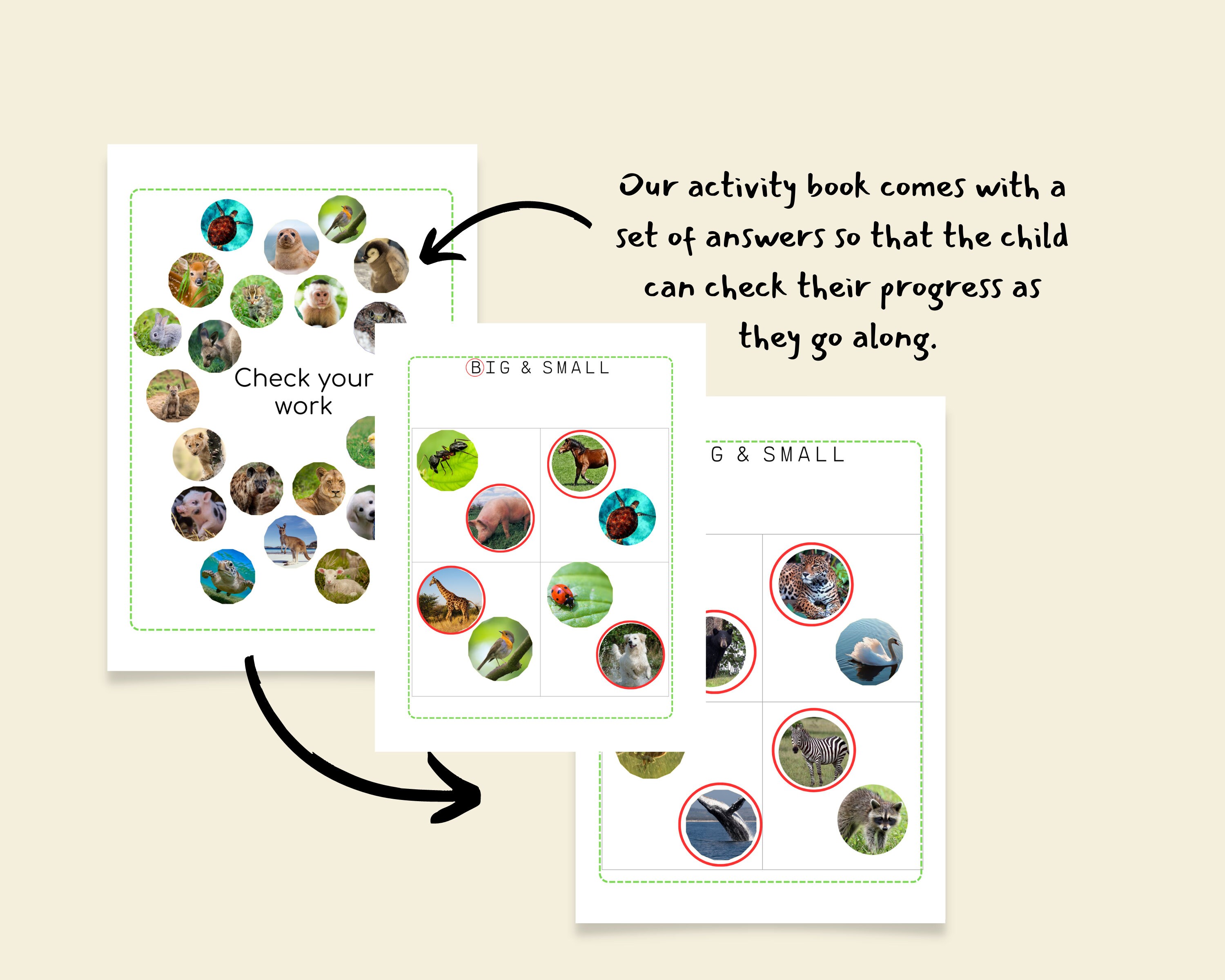 Printable Preschool Worksheets: Preschool Curriculum, Summer Workbook ...