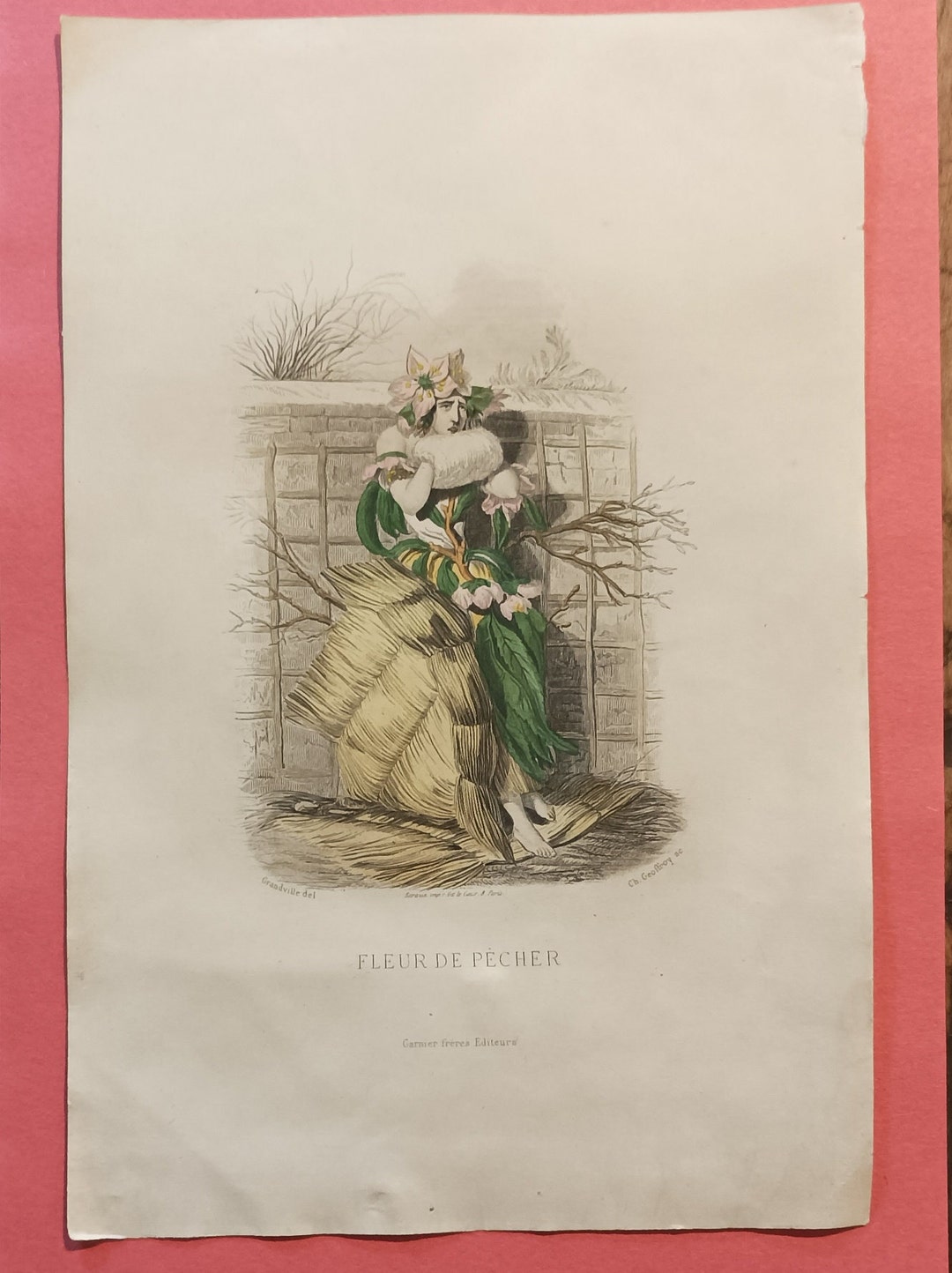 Original Engraving ANIMATED FLOWERS by Grandville Peach Etsy