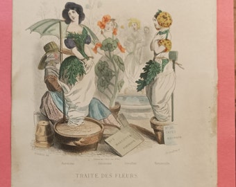 Original Engraving ANIMATED FLOWERS by Grandville - Treatise on Flowers (Volume I I - 1867)