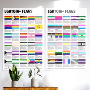 Conjunto de 2 pôsteres de bandeiras do orgulho LGBTQIA+ – 60 bandeiras inclusivas LGBTQIA+, arte de parede – 12×18 | 20×30 | 24×36 pol. Impressões – Troca de bandeiras personalizada disponível