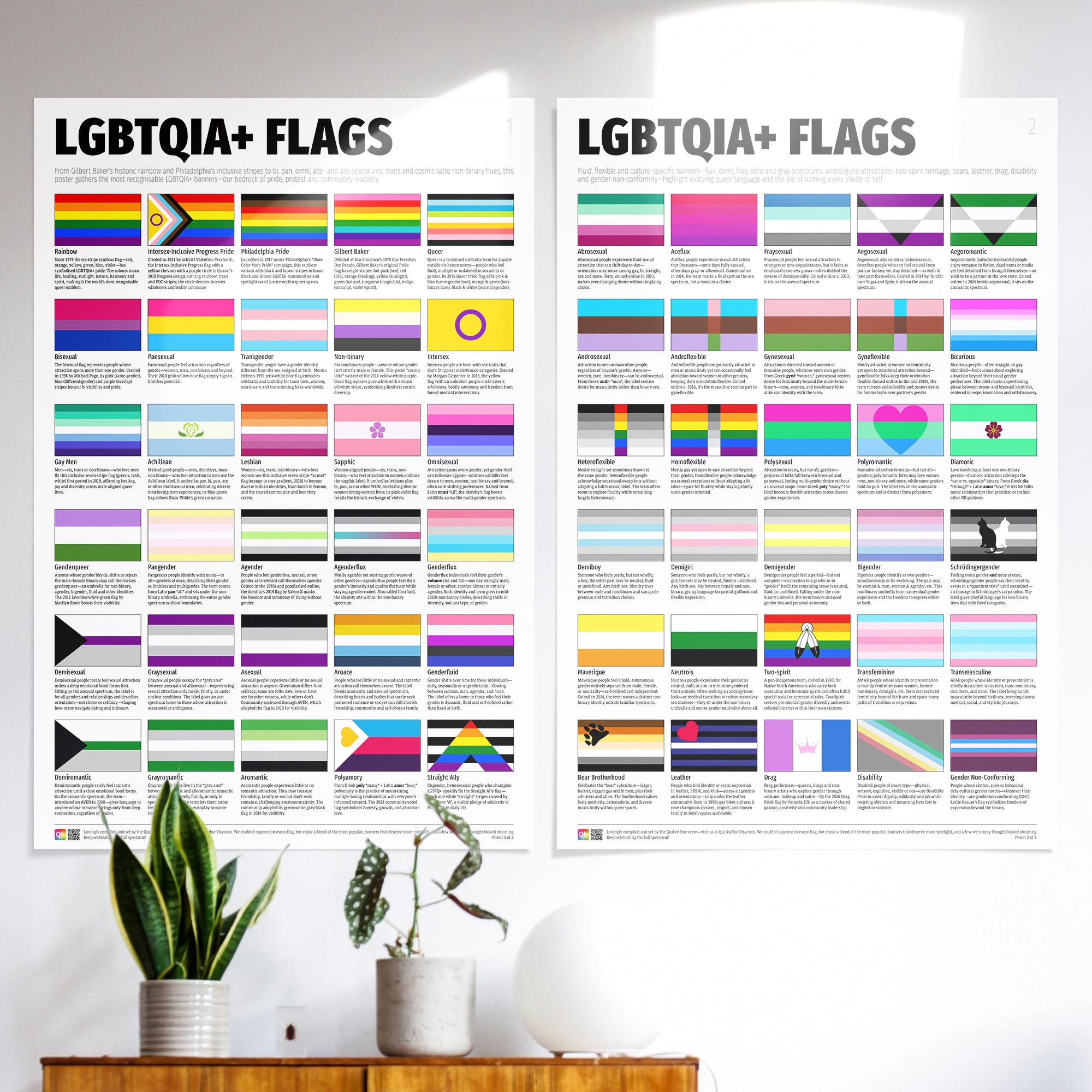 LGBTQIA+ Flags Poster Set: 60 Inclusive Pride Flags Wall Art