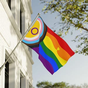 Könnte beinhalten: Eine Regenbogenflagge an einer goldenen Stange wird im Freien gezeigt. Die Flagge hat ein lebendiges Design mit einem Regenbogenverlauf und Symbolen, die verschiedene Gemeinschaften repräsentieren. Die Flagge ist an einer silbernen Stange befestigt und weht im Wind.